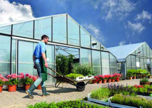Lire la suite à propos de l’article CAPa Métiers de l&rsquo;Agriculture – Productions Horticoles