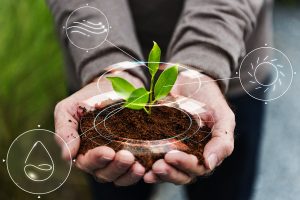 Lire la suite à propos de l’article BTSA Agronomie et Cultures Durables