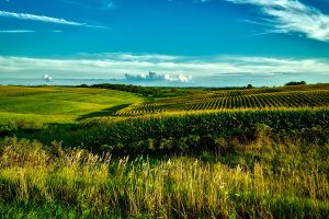 Lire la suite à propos de l’article CAPa Métiers de l&rsquo;Agriculture – Grandes Cultures
